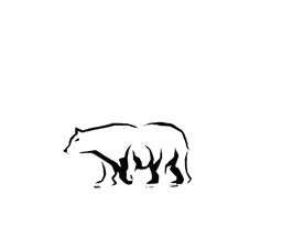 Polarbear Art